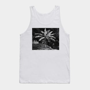 Banana tree with bunch of bananas noir landscape Tank Top